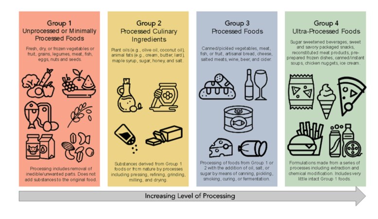 Nova classification of processed foods